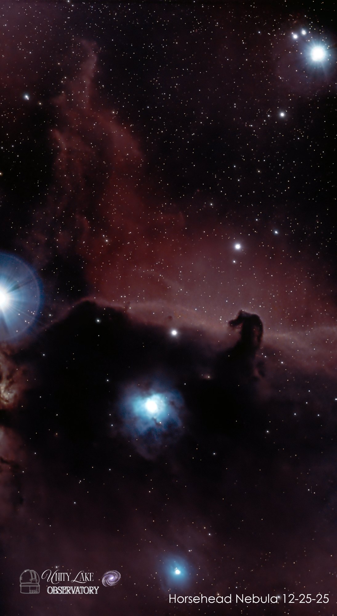 Horsehead Nebula, 1,001 exposures photographed by Ken Knorr
