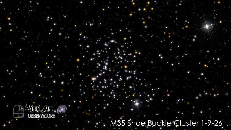 Shoe Buckle Cluster