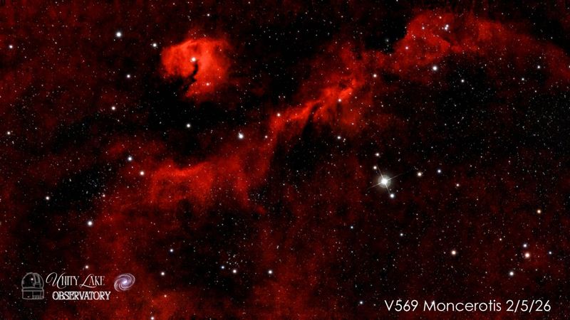 V569 Monocerotis mosaic